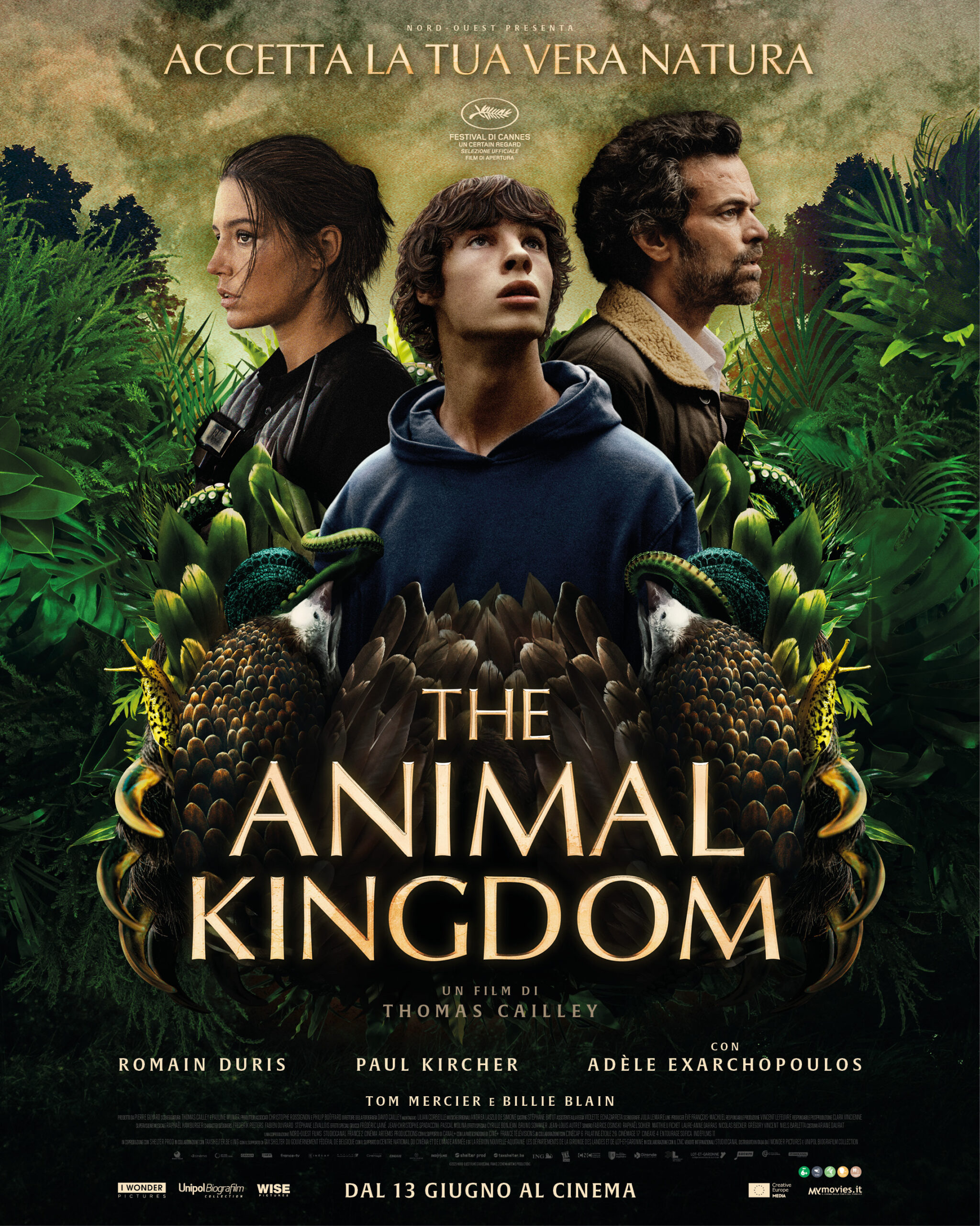 The animal kingdom